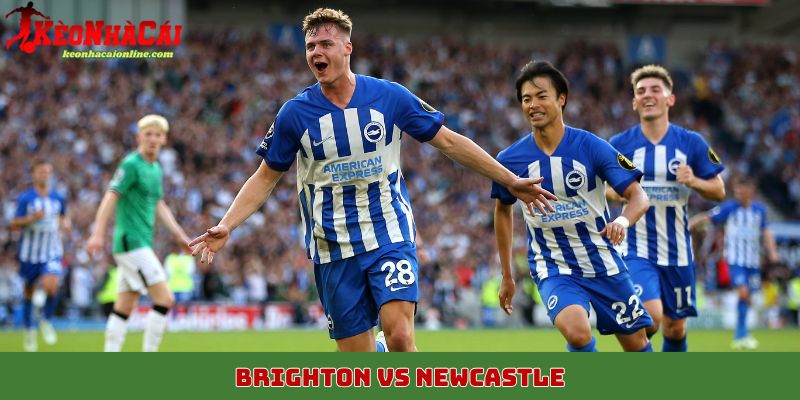 Brighton vs Newcastle