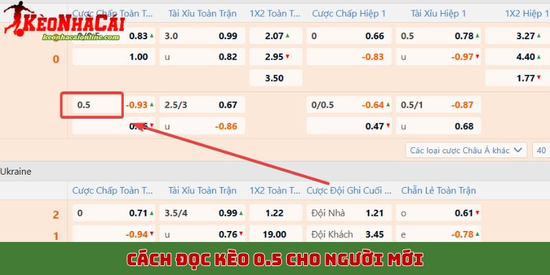 Cách đọc kèo 0.5 cho người mới