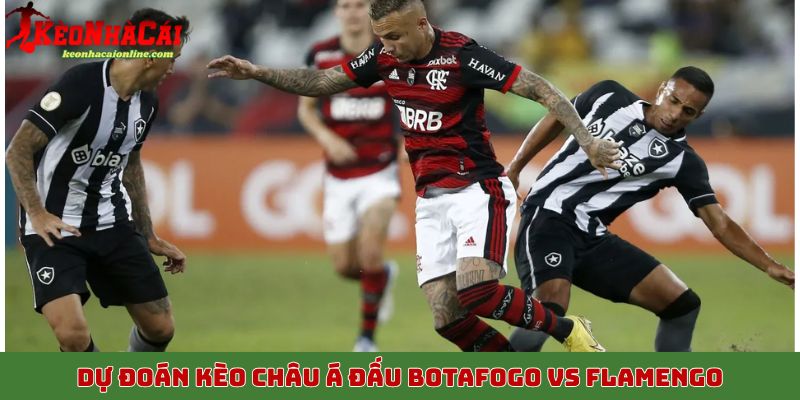 Soi kèo, dự đoán kết quả kèo châu Á trận đấu Botafogo vs Flamengo