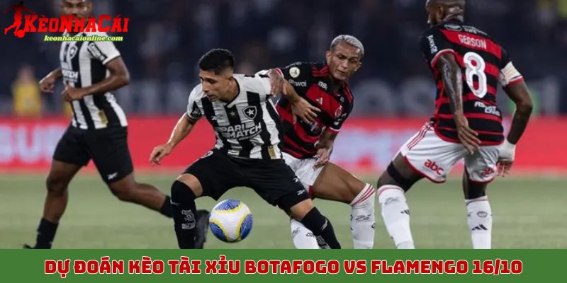 Nhận định, dự đoán kèo tài xỉu Botafogo vs Flamengo 16/10