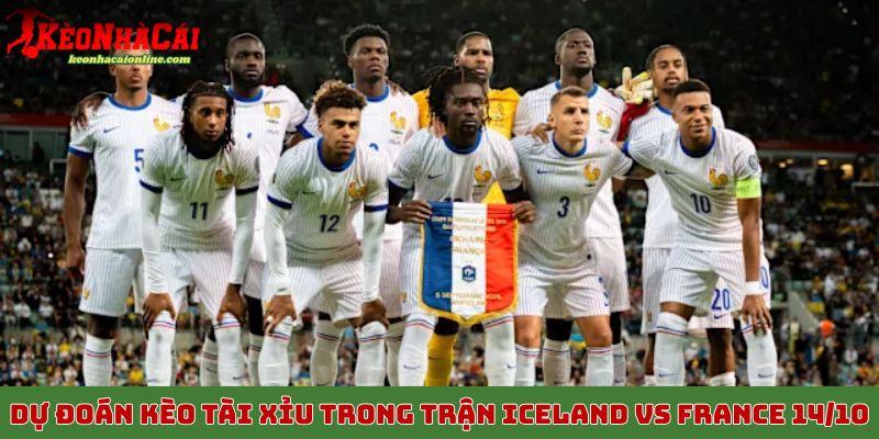 Dự đoán kèo tài xỉu trong trận Iceland vs France 14/10