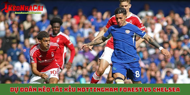 Dự đoán kèo tài xỉu trận Nottingham Forest vs Chelsea 18/10