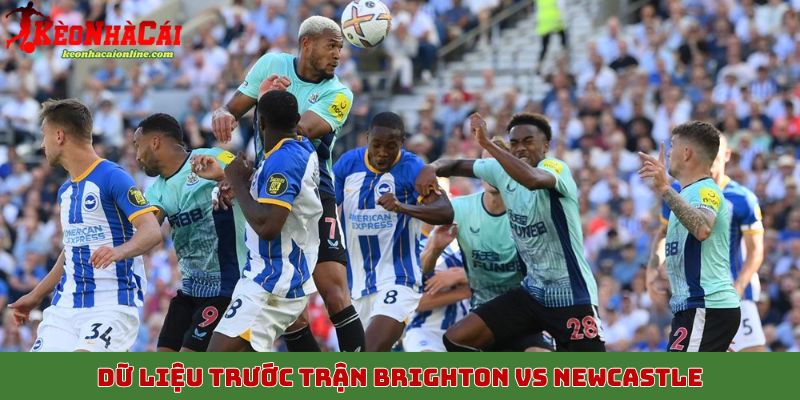 Dữ liệu trước trận Brighton vs Newcastle 18/10