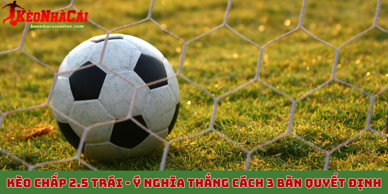 Kèo chấp 2.5 trái