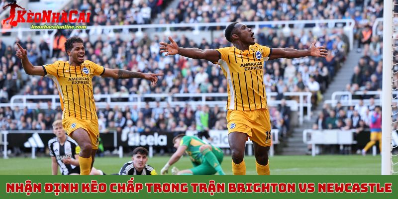 Nhận định kèo chấp trong trận Brighton vs Newcastle tối 18/10