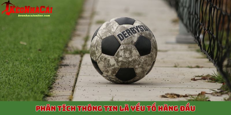 Phân tích thông tin là yếu tố hàng đầu
