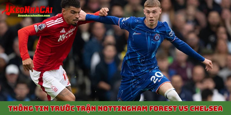 Thông tin trước trận Nottingham Forest vs Chelsea vài ngày 18/10