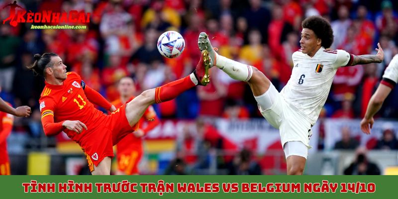 Tình hình trước trận Wales vs Belgium ngày 14/10