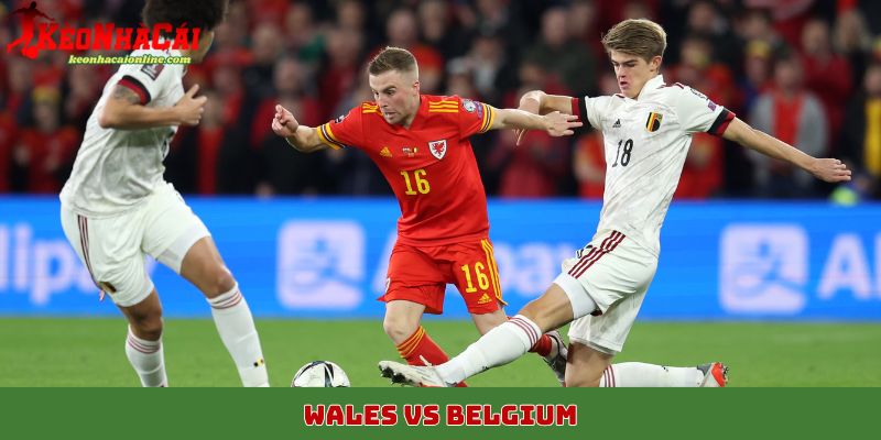 Wales vs Belgium
