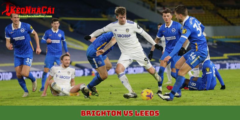 Brighton vs Leeds