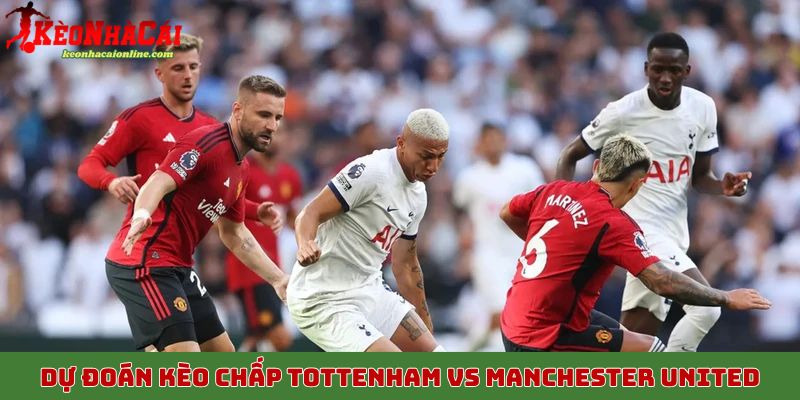 Dự đoán kèo chấp Tottenham vs Manchester United, 8/11