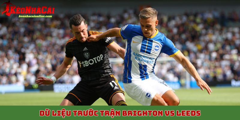 Dữ liệu trước trận Brighton vs Leeds ngày 1/11