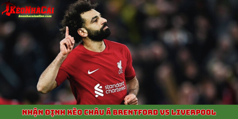 Nhận định kèo châu Á trận Brentford vs Liverpool ngày 24/10