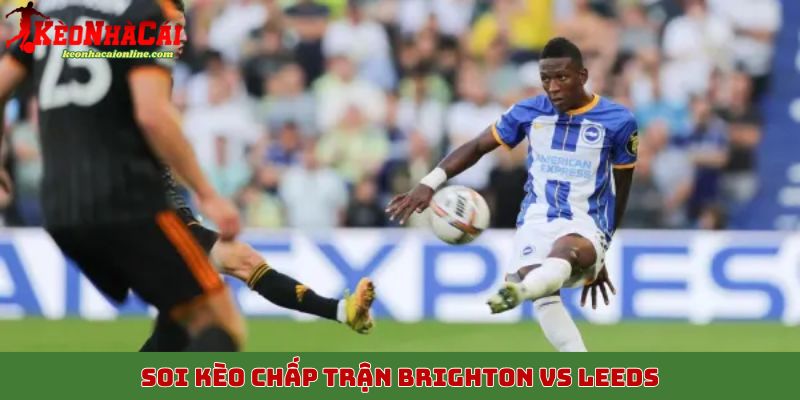Soi kèo chấp trận Brighton vs Leeds, 1/11