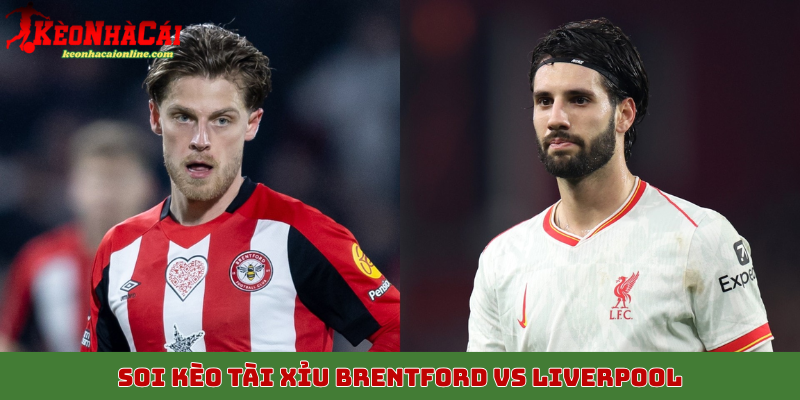 Soi kèo tài xỉu trận đấu giữa Brentford vs Liverpool ngày 26/10